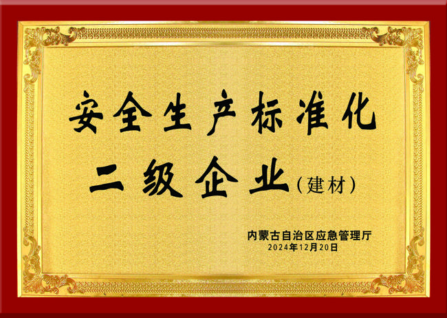 自治區安全生產標準化二級企業